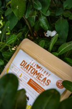 Diatomeas 250 Gr - Imagen 4