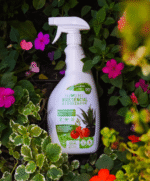 Bio-Esencial - Imagen 4