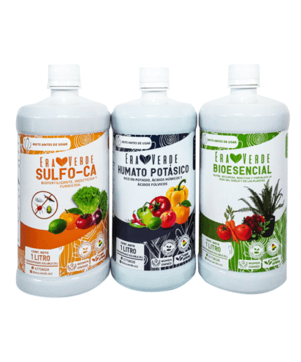 Kit Frutal