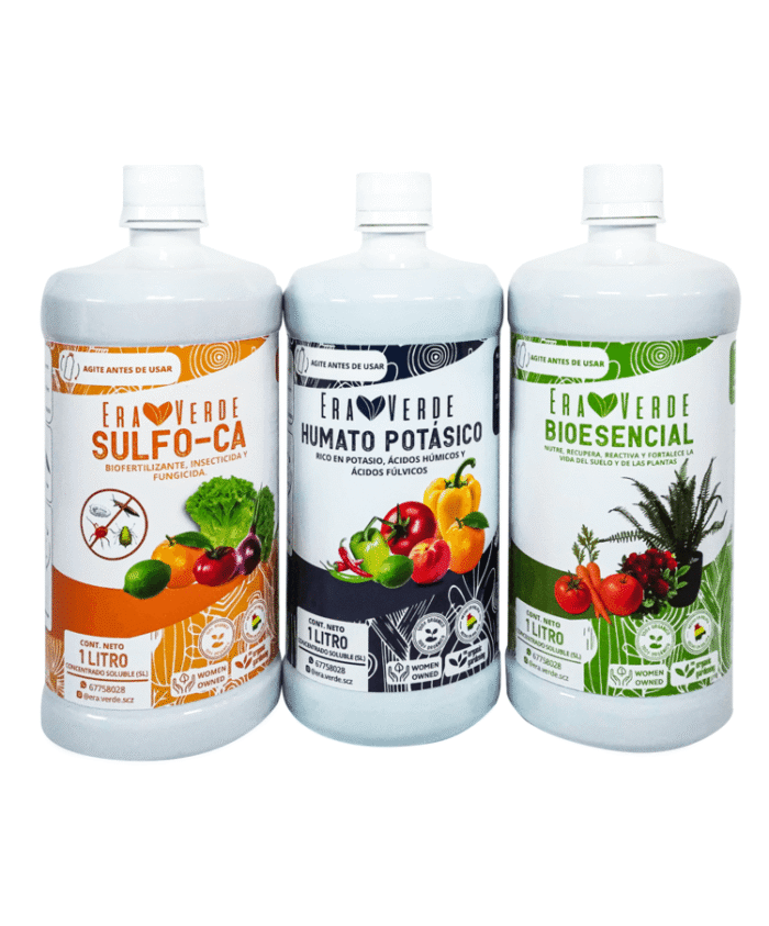 Kit Frutal - Imagen 1