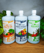 Kit Frutal - Imagen 2