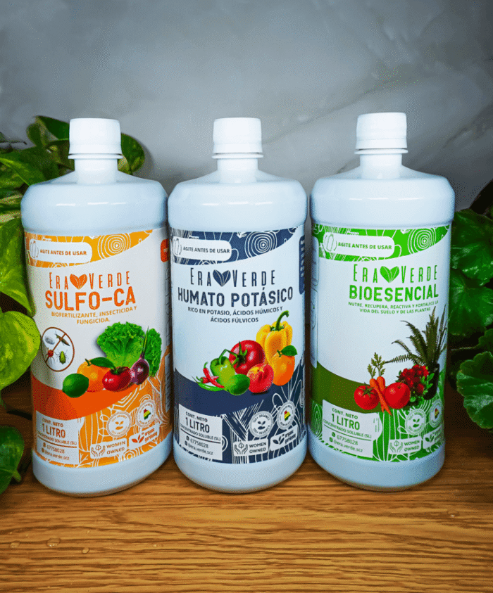 Kit Frutal - Imagen 2