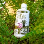 Aceite de Neem - Imagen 7