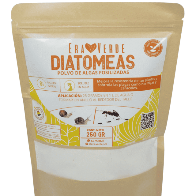 DIATOMEAS